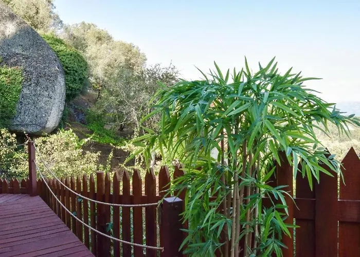 بيت للعطل Casa Oliveirinhas By Refugio Ao Luar سيلوريكو دي باستو